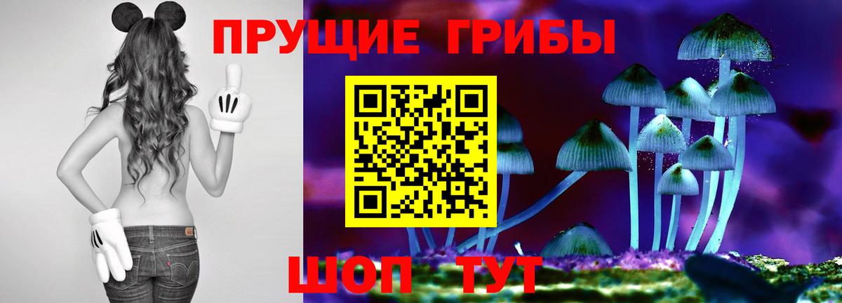 Дедовск  Псилоцибиновые грибы Psilocybine cubensis  Вход с VPN 